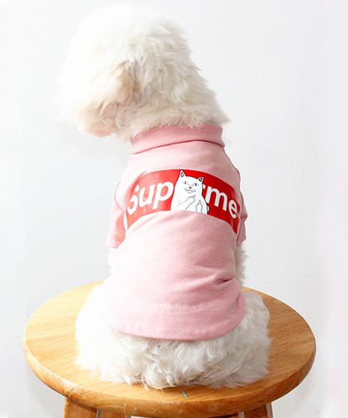 シュプリーム リップンディップ 犬服 Tシャツ